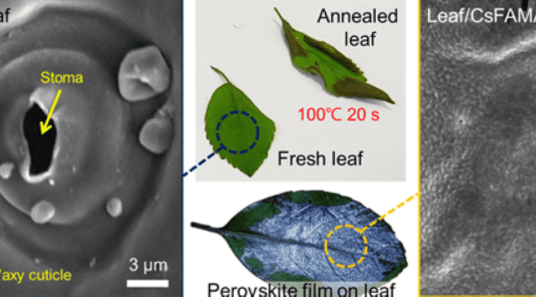 Partners at UCSB Develop New Ways to Fabricate Perovskite Films