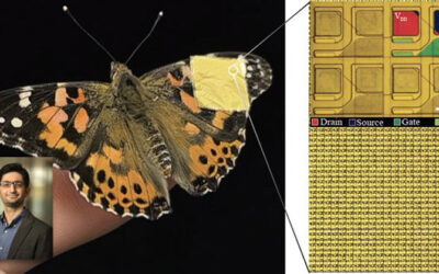 UC Irvine, ColumbiaU researchers invent soft, bioelectronics sensor implant