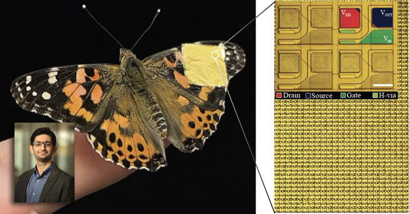 UC Irvine, ColumbiaU researchers invent soft, bioelectronics sensor implant